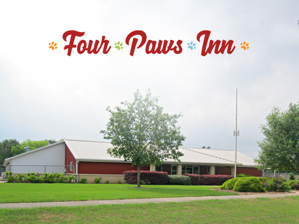 Four Paws Inn Facility
