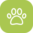 pet boarding in converse tx