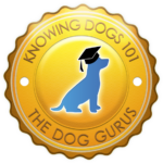 Dog Gurus Knowing Dogs 101 Badge