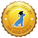 Dog Gurus Knowing Dogs 201 Badge