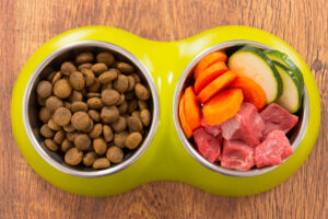 raw diets for dogs